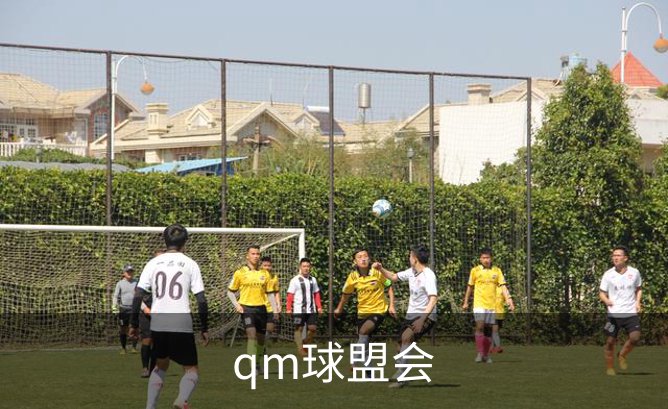 关于qm球盟会